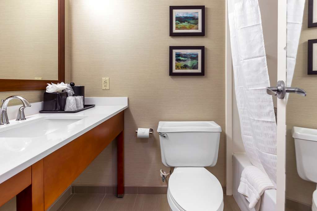 Comfort Inn University Durham Chapel Hill - photo 12