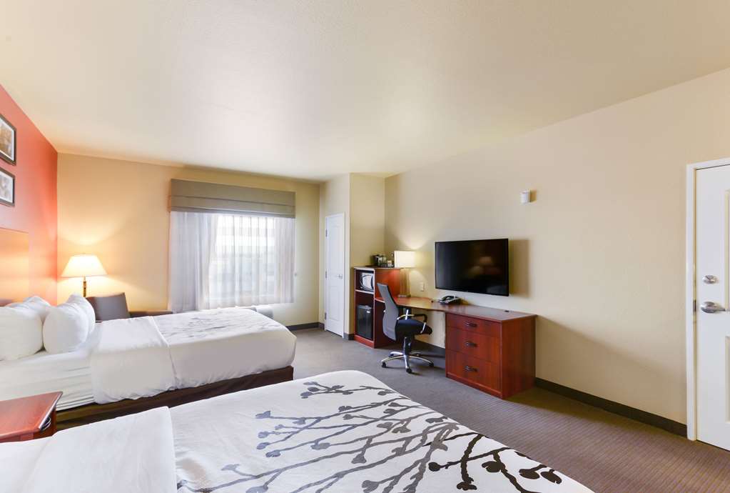 Sleep Inn & Suites Midland West - photo 18