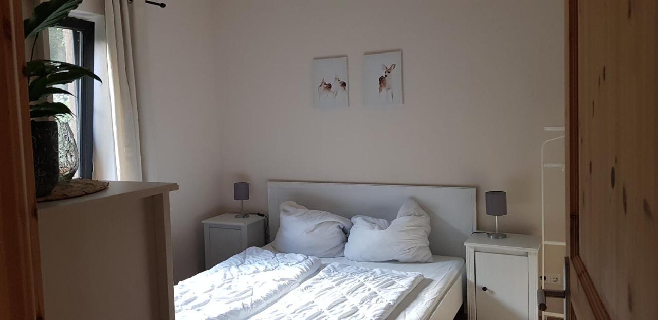Neumuhle Ferienwohnung 2 — Lutzerath — photo 3