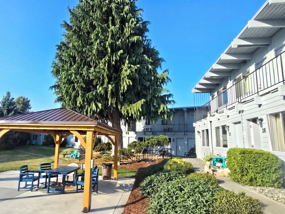 Cocusa Motel - photo 106