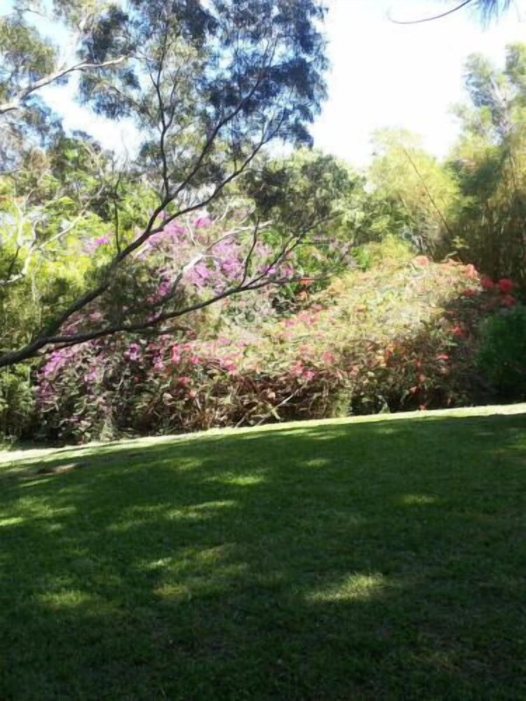 Hale Kukui Orchard & Cottages - photo 27