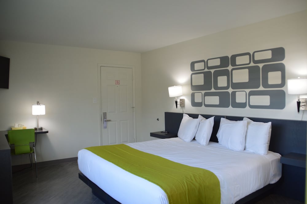 University Inn Tempe - photo 6
