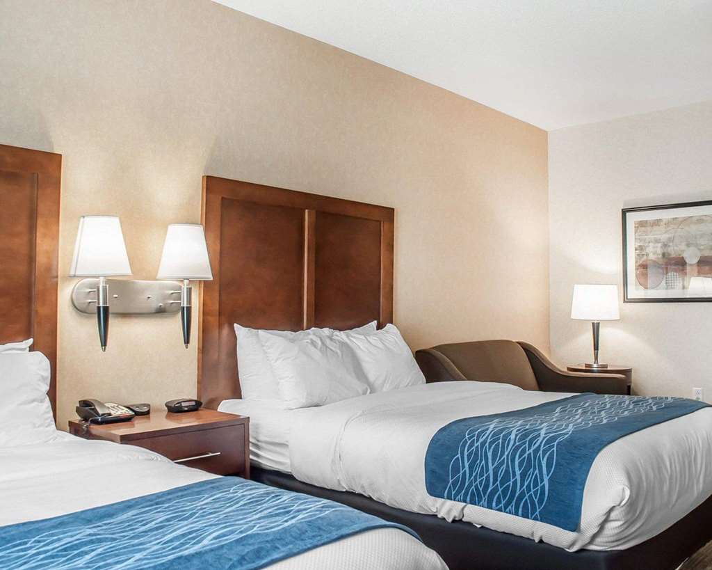 Comfort Inn & Suites Hamburg Buffalo South - photo 8