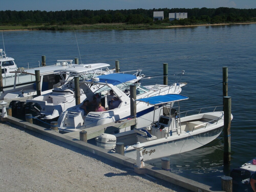 Lowes Wharf Marina Inn - photo 13