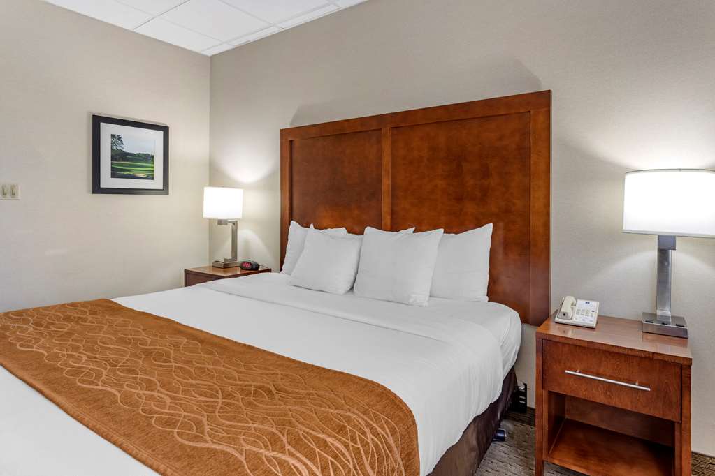 Comfort Inn Syosset Long Island - photo 18