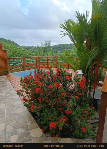 T Syssy Loft Au Marin Secteur Grand Sud En Proximite Sainte Anne Et Direction Du Vauclin in Le Marin, Martinique