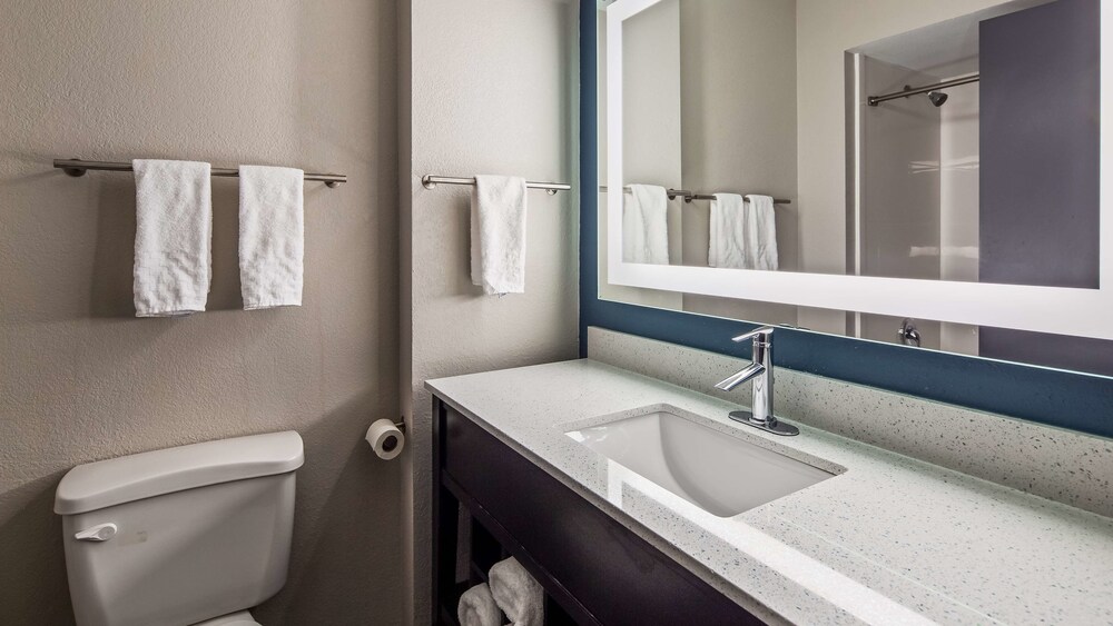 Best Western Rock Hill - photo 8