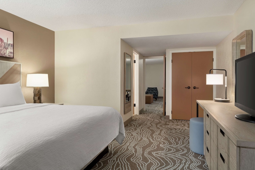 Embassy Suites by Hilton Phoenix Tempe - photo 10