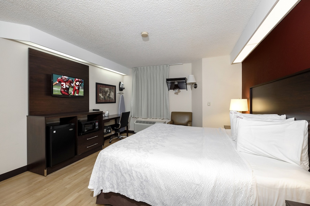 Red Roof Inn Plus Palm Coast - photo 13