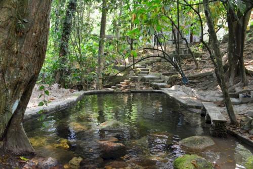 Casa Cangrejal B&B Hotel — La Ceiba — photo 4