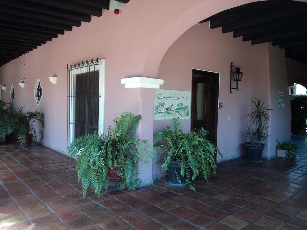 Hotel Hacienda Cazadores — Navojoa — photo 4