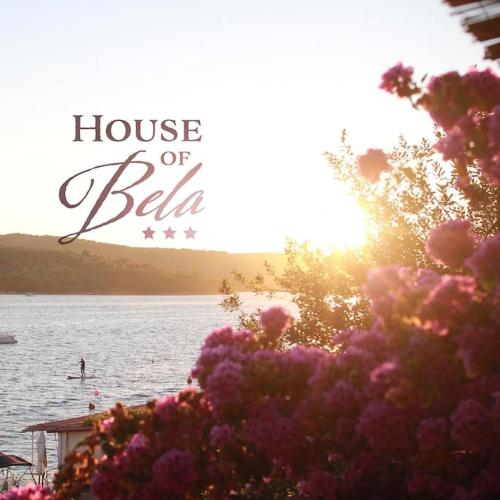 Small house at seafront — 4-Star Luxury Hotel in Tisno, Croatia
