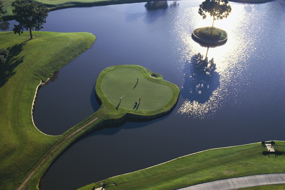 Sawgrass Marriott Golf Resort & Spa - photo 199