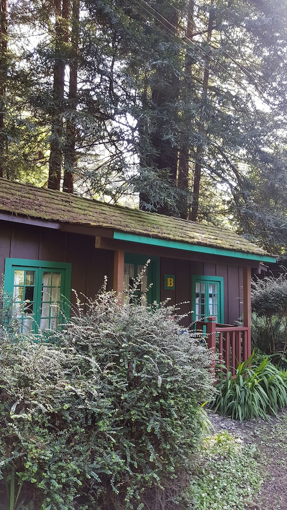 Emerald Forest Cabins - photo 88