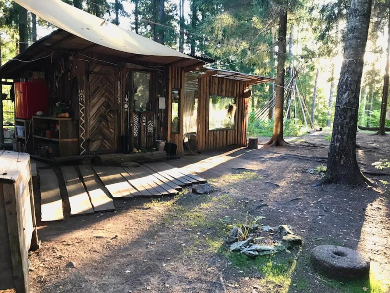 Soomaa Forest Hut — Antsla — photo 5