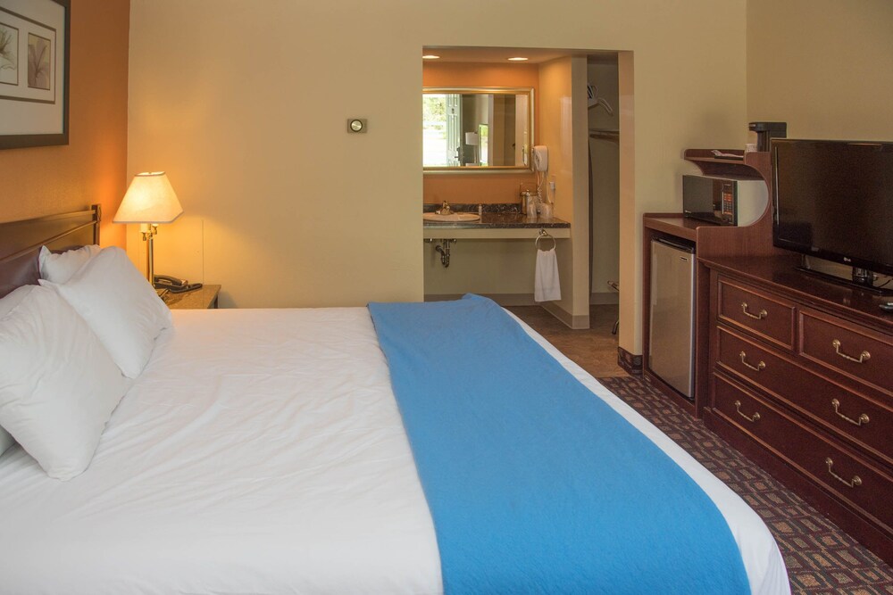 Colonnade Inn - photo 5