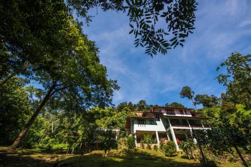Rest Pause Rainforest Retreat — Kuantan — photo 5