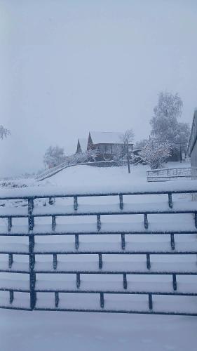 Donata Cottages kazbegi