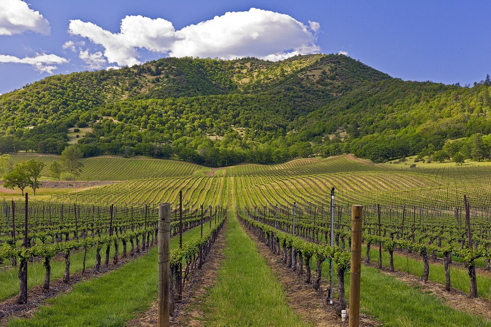 Rogue Valley Inn - photo 12