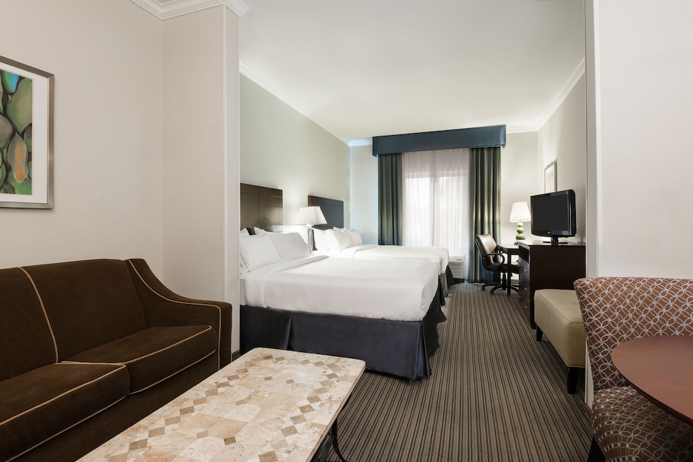 Holiday Inn Express Hotel & Suites New Iberia Avery Island by IHG - photo 7