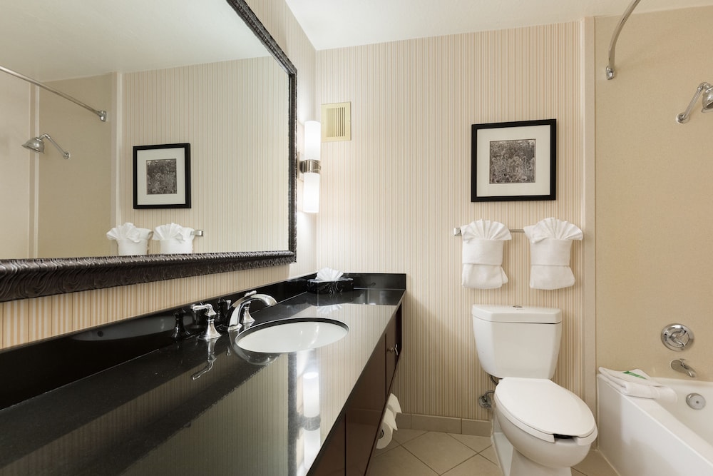 Holiday Inn Sacramento Downtown Arena by IHG - photo 23