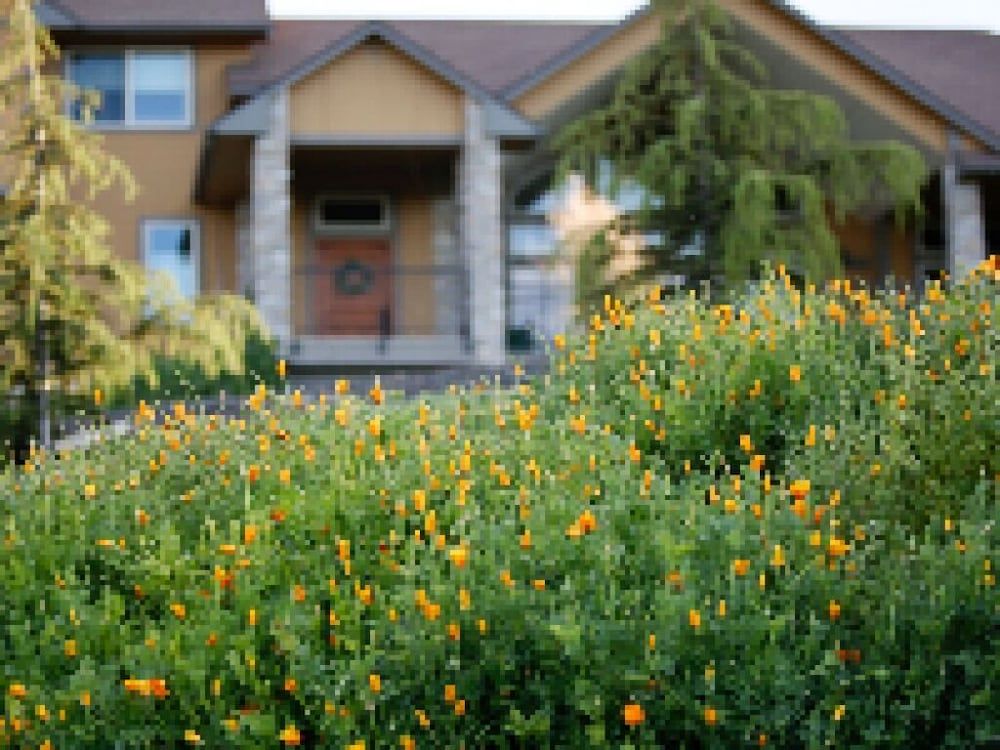 Bella Vista ID - photo 9