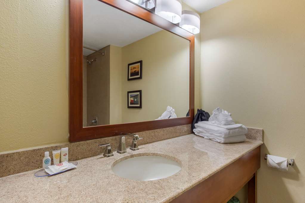 Comfort Inn & Suites SW Houston Sugarland - photo 17