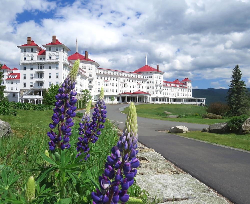 Omni Mount Washington Resort & Spa - photo 135