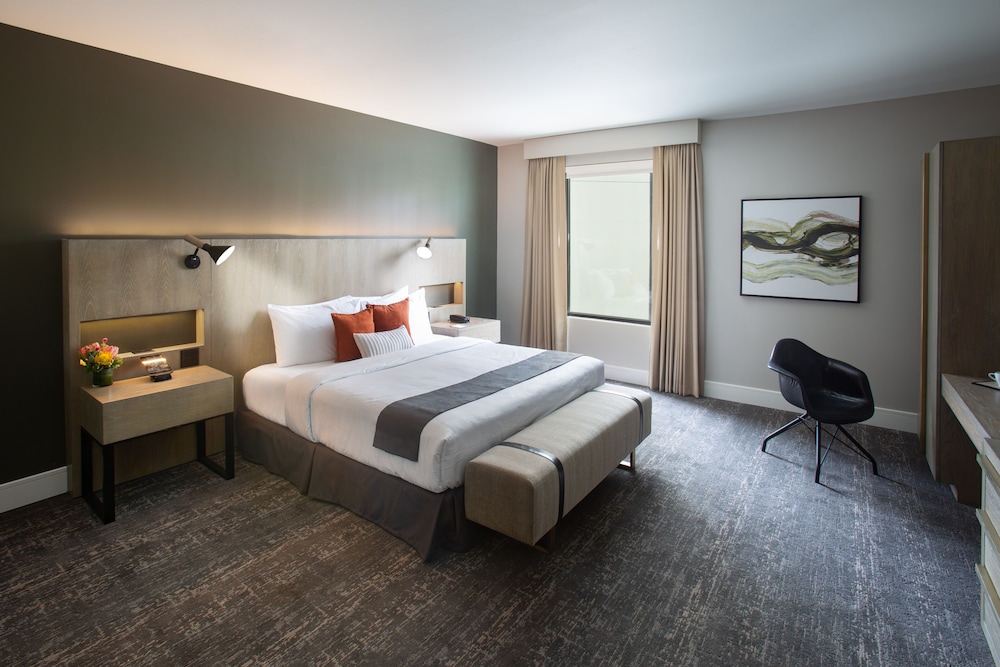 The Delaney Hotel - photo 5