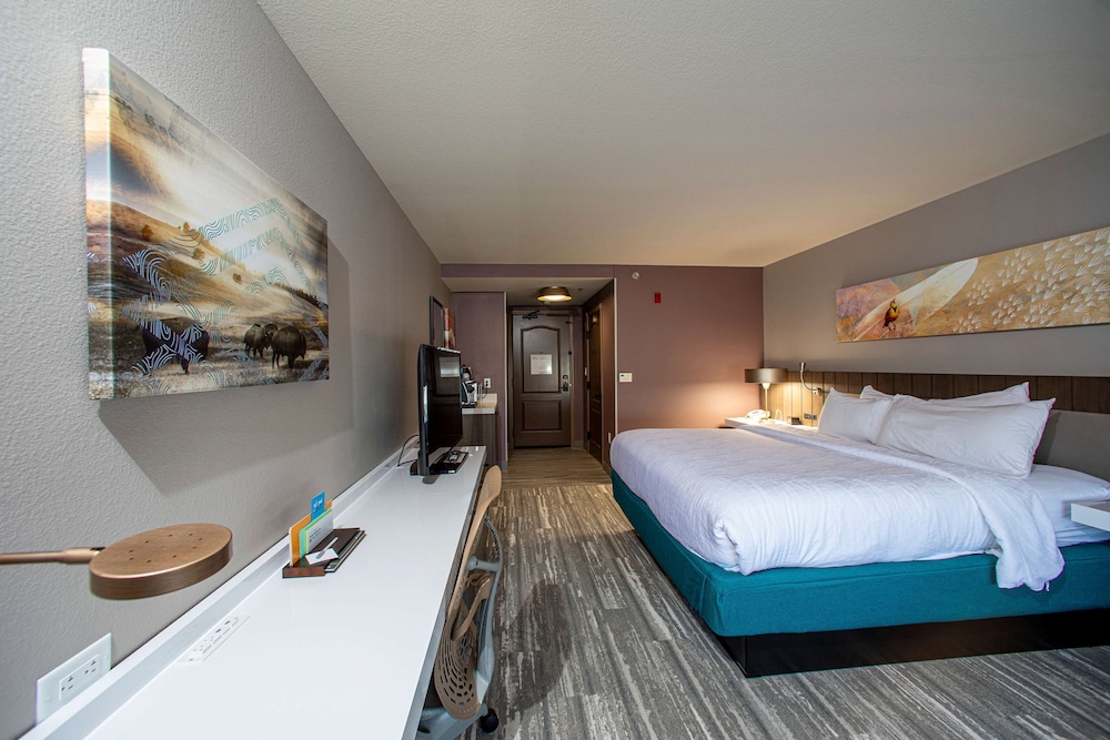 Hilton Garden Inn Rapid City - photo 23