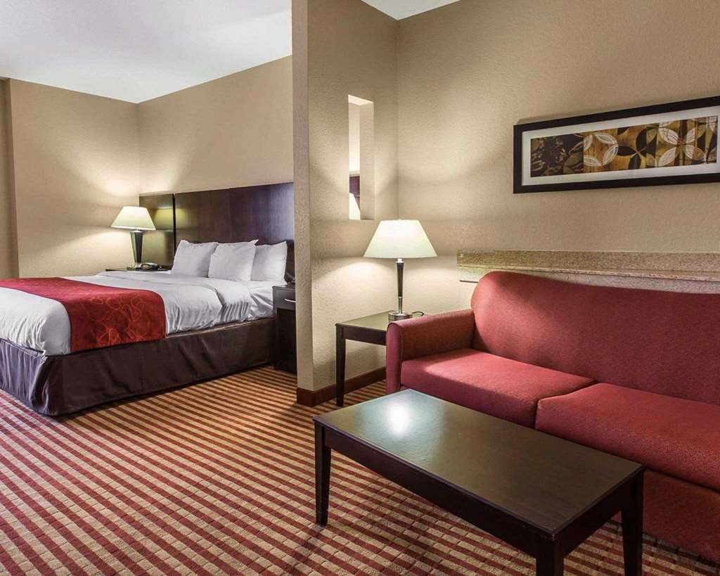 Comfort Suites Waycross - photo 6
