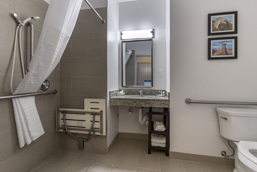 Comfort Inn & Suites Aztec Farmington Area - photo 42