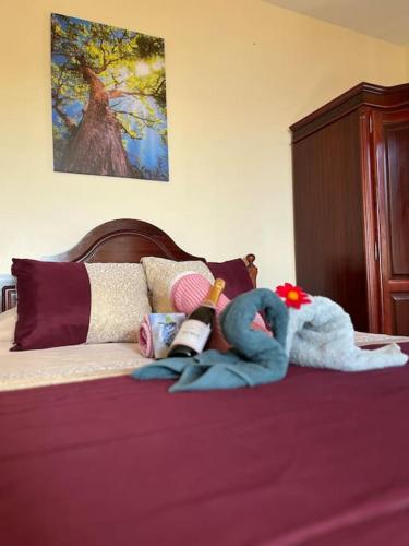 El Atardecer del Norte in Porto Moniz, Portugal