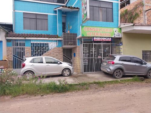 D301 — Moyobamba — photo 3