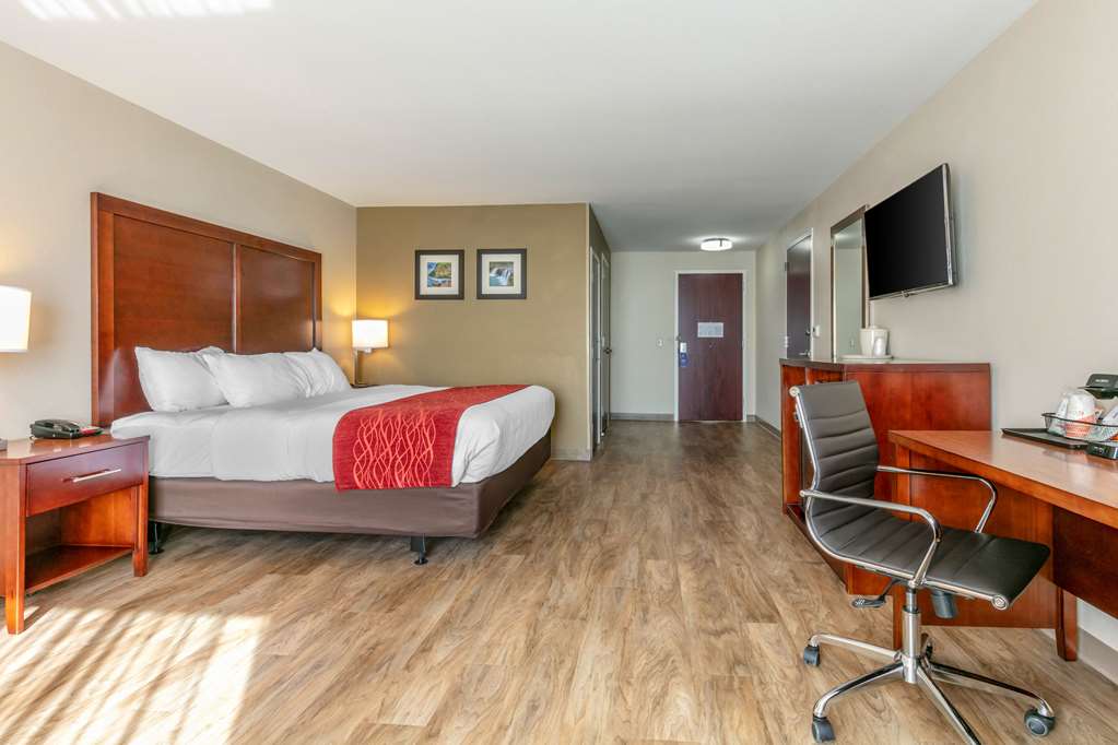 Comfort Inn & Suites Van Buren Fort Smith - photo 9