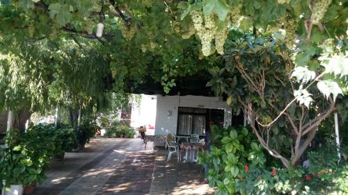 Filoxenia Rooms — Samothraki — photo 3