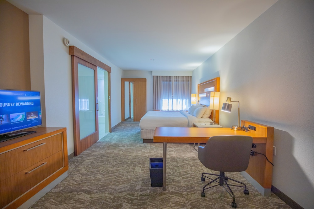 SpringHill Suites by Marriott Baton Rouge Gonzales - photo 8