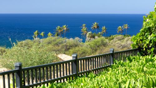 Waiulaula Estate 411 - photo 21