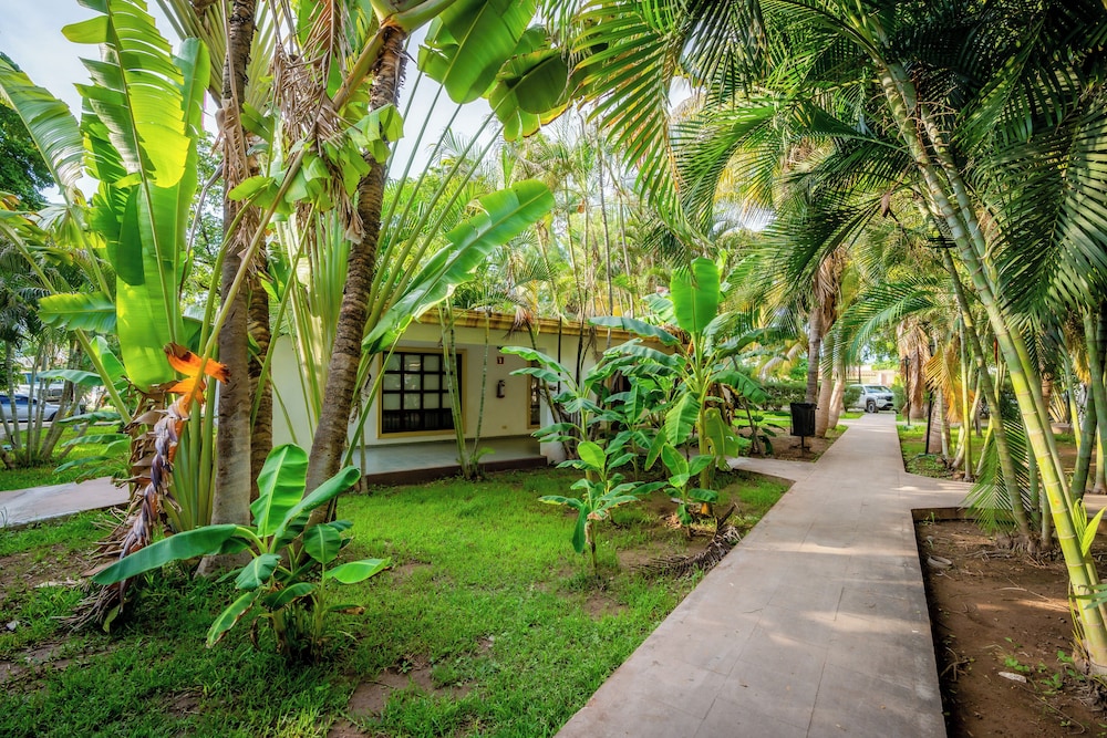 Garden view