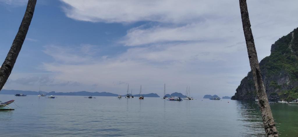 Kimura Beachfront El Nido — El Nido — photo 2