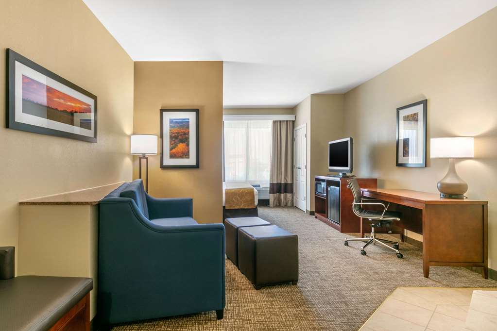 Comfort Suites Forrest City - photo 20