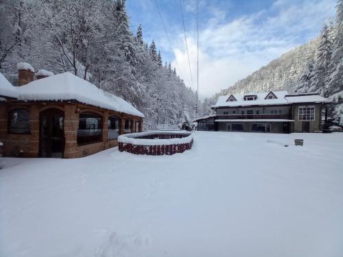 Mountain FIsh - carbon neutral hotel in Bicaz