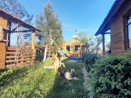 Tiny houses Genacvale