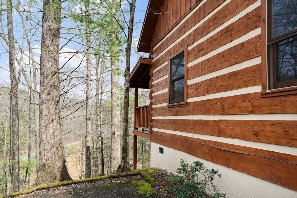 An Affair To Remember 1 Bedroom Cabin by Heavenly Views Resort - photo 26