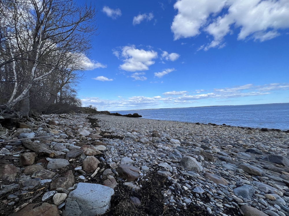 The High Tide Inn - photo 146