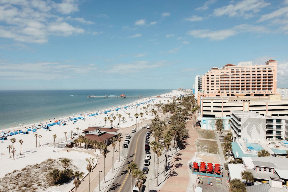 The Hiatus Clearwater Beach Curio Collection By Hilton - photo 115