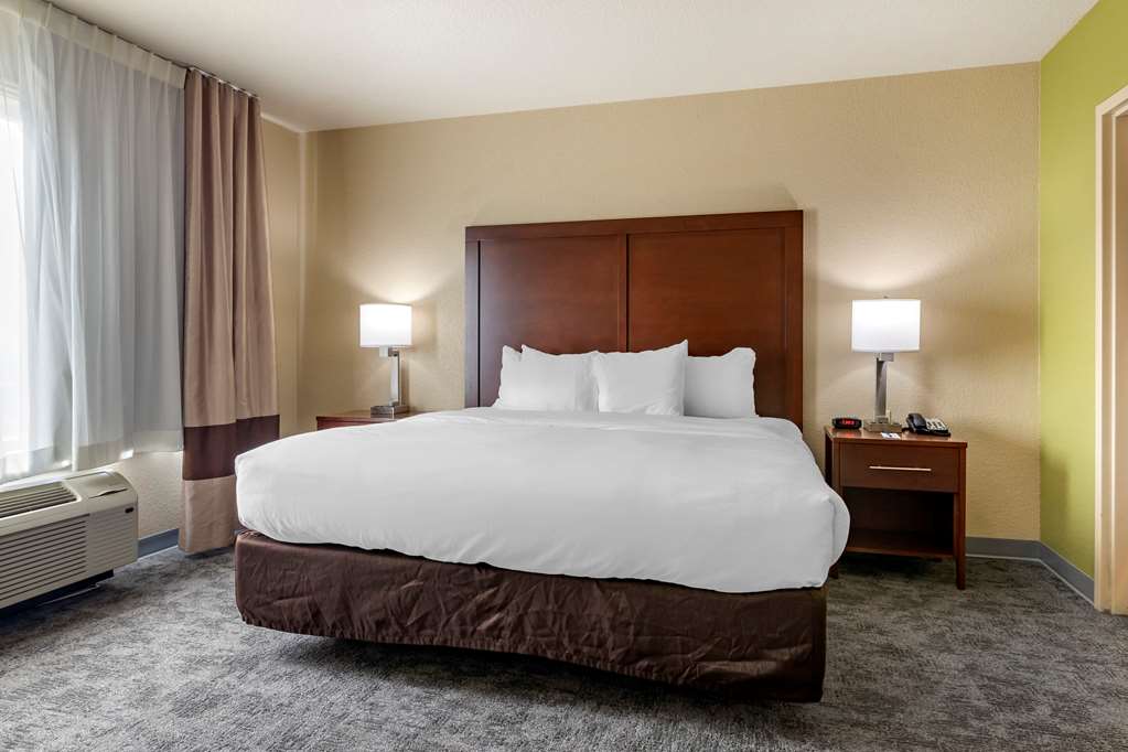 Comfort Inn Bentonville Crystal Bridges - photo 10
