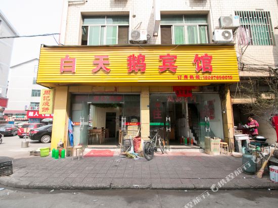 White Swan Hotel - last minute hotel in Guli