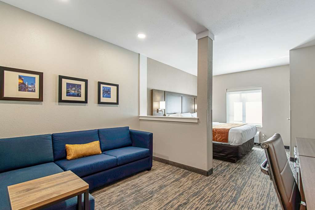 Comfort Suites Grove City Columbus South - photo 8