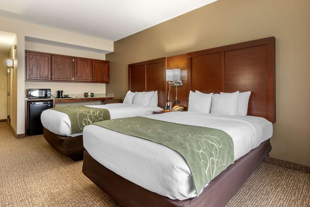 Comfort Suites Johnson City near University - photo 13